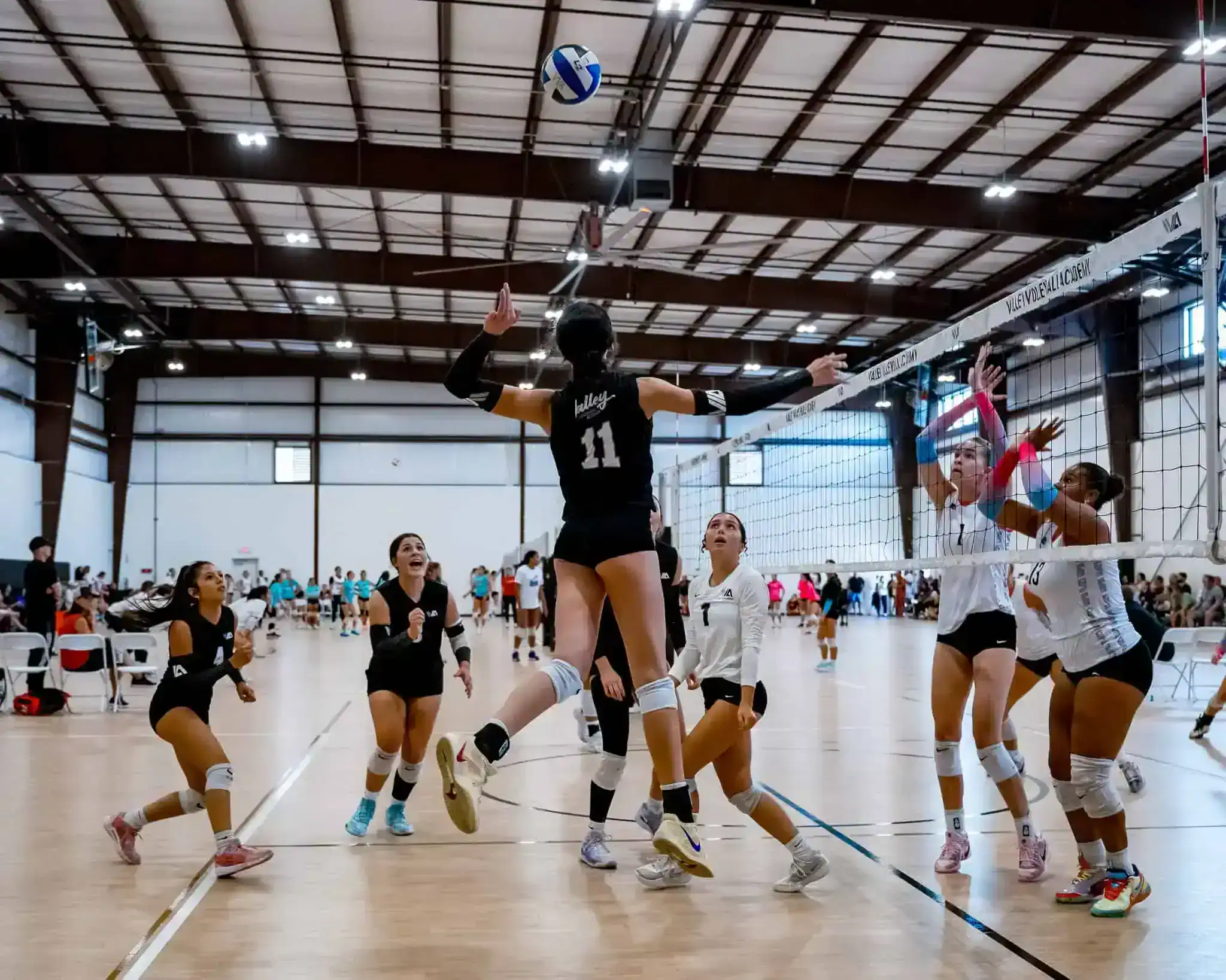 Libero Volleyball